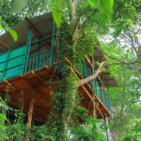 River Side Cabana Tissamaharama Ngoại thất bức ảnh