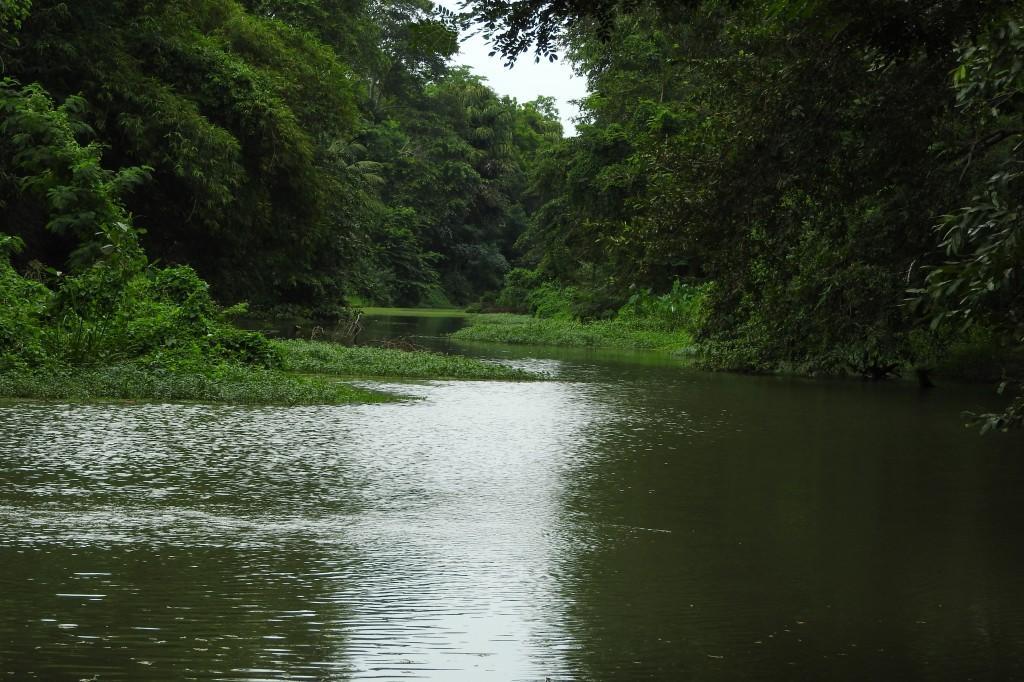 River Side Cabana Tissamaharama Ngoại thất bức ảnh