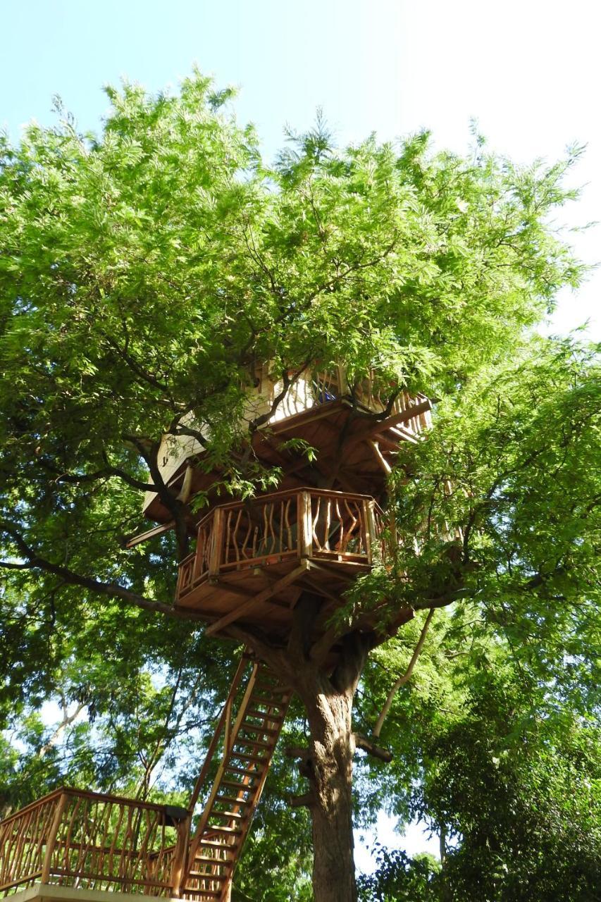 River Side Cabana Tissamaharama Ngoại thất bức ảnh